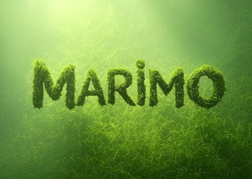 MARİMO - İTHAL